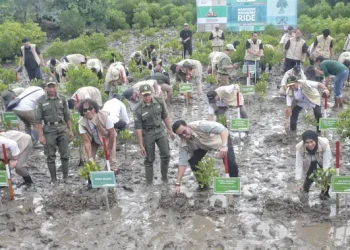 Festival Mangrove 2025 Resmi Dibuka di TN Alas Purwo dengan Penanaman Hutan Mangrove 41 Ribu Hektare