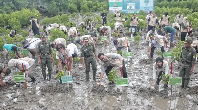Festival Mangrove 2025 Resmi Dibuka di TN Alas Purwo dengan Penanaman Hutan Mangrove 41 Ribu Hektare