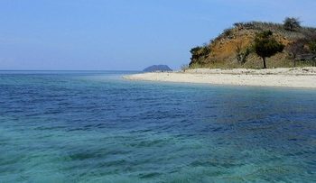Kisah Pulau Babi di NTT yang Dihantam Tsunami Kini Kembali Menjadi Indah