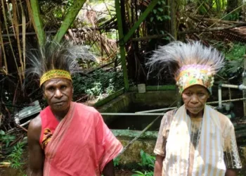 Hari Internasional Masyarakat Adat 2025, 333687 Hektare Ditentukan sebagai Hutan Adat