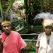 Hari Internasional Masyarakat Adat 2025, 333687 Hektare Ditentukan sebagai Hutan Adat