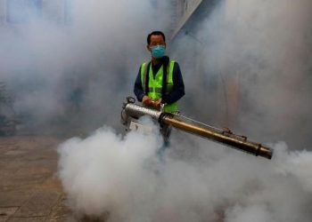 Teror Nyamuk Ganas Akibatkan 3000 Korban Tewas dan Kota Menjadi Kuburan