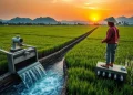 Brantas Abipraya Kerjakan 4 Proyek Irigasi, Simak Lokasinya