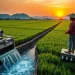 Brantas Abipraya Kerjakan 4 Proyek Irigasi, Simak Lokasinya