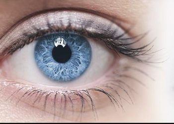 Tanaman Herbal untuk Mengatasi Masalah Penglihatan Kabur