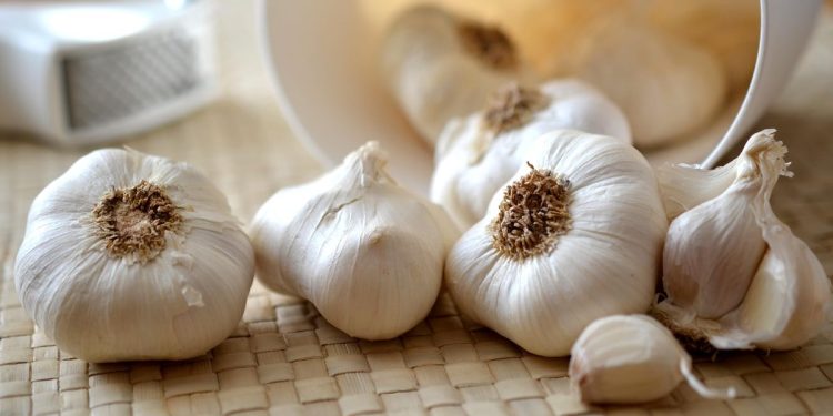 Efek Samping Rutin Minum Air Rebusan Bawang Putih yang Perlu Diketahui