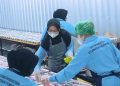 Kisah UMKM Kepulauan Sebagai Pemasok Program MBG Dukung Pertumbuhan Ekonomi Lokal