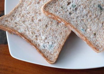 5 Efek Makan Makanan Basi yang Sering Tidak Disadari untuk Tubuh