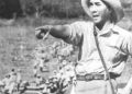 Soekarno Jadi Mandor Romusa dan Penyebab Kematian Rakyat RI Ini Faktanya