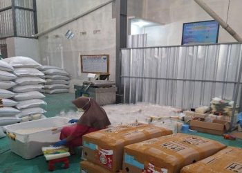 Petani Magelang Berhasil Kembangkan Pertanian Digital