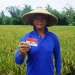 Momentum Hari Tani, Salurkan Pembiayaan dan Pemberdayaan Inklusif untuk Pertanian