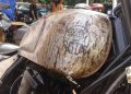 Cara Efektif Menghilangkan Karat pada Motor