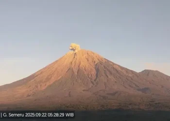 Gunung Semeru Erupsi Senin Pagi 22 September 2025 dengan Kolom Abu 700 Meter