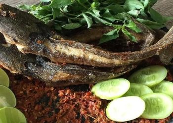 Menu Ekonomis, 5 Manfaat Konsumsi Ikan Lele Setiap Hari