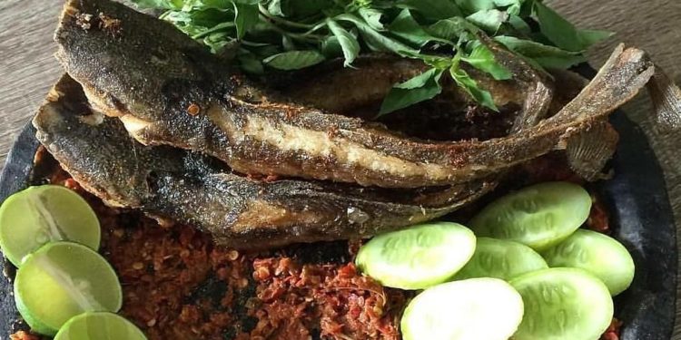 Menu Ekonomis, 5 Manfaat Konsumsi Ikan Lele Setiap Hari