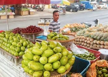 Manfaatkan KUR, Pedagang Nanas Sukses Kembangkan Produk Olahan