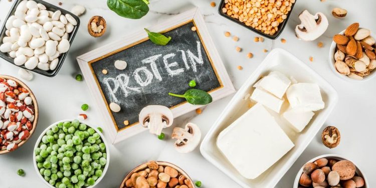 10 Makanan Kaya Protein yang Wajib Dikonsumsi untuk Pembentukan Otot