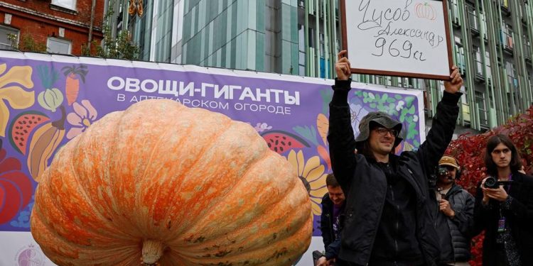 Labu Seberat 969 Kg Memecahkan Rekor Sayuran Raksasa di Rusia