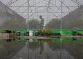 Lihat Green House di Pasar Mayestik