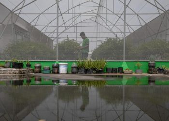 Lihat Green House di Pasar Mayestik
