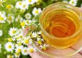 6 Obat Alami Sakit Perut dengan Seduhan Teh Peppermint