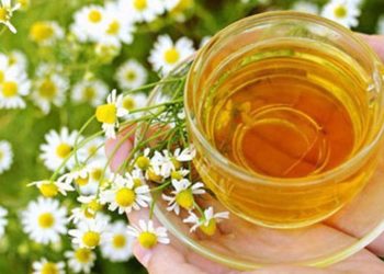 6 Obat Alami Sakit Perut dengan Seduhan Teh Peppermint