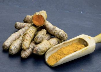 9 Manfaat Temulawak untuk Lambung sebagai Solusi Alami Pencernaan