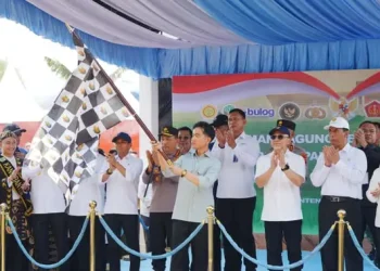 Kawal Instruksi Presiden tentang Swasembada Pangan, Kapolri Gelar Tanam Jagung Bersama