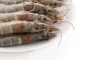 Paparan Radioaktif Cs-137 dalam Makanan Dapat Menyebabkan Kanker Menurut CDC