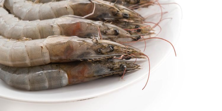 Paparan Radioaktif Cs-137 dalam Makanan Dapat Menyebabkan Kanker Menurut CDC