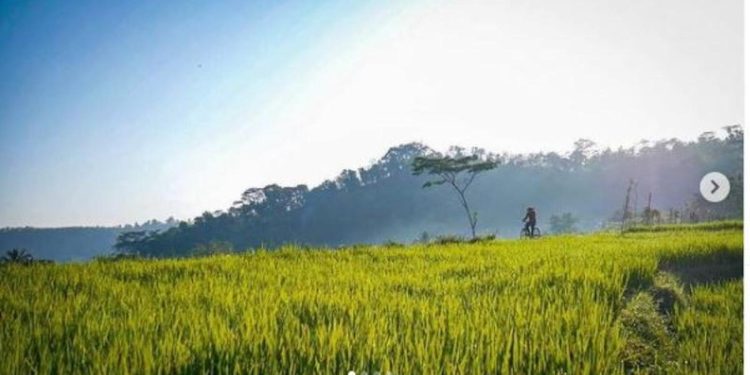 12 Tempat Makan Enak dan Resto Kekinian di Sragen 2025