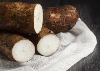 Singkong Sebagai Sumber Karbohidrat Lokal Pengganti Terigu