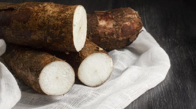 Singkong Sebagai Sumber Karbohidrat Lokal Pengganti Terigu