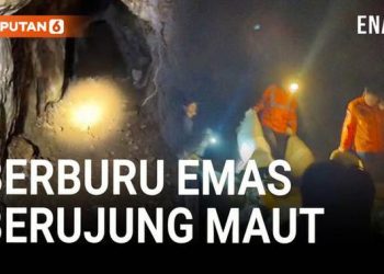 Tragis, Pencarian Emas Berakhir Dengan Kematian