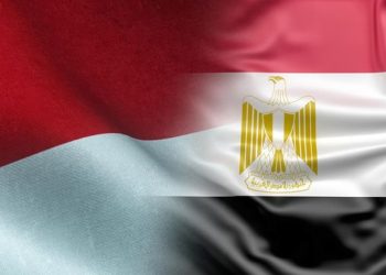 Ratusan Ribu Warga Mesir Kagumi Presiden RI Sebagai Pembawa Perdamaian