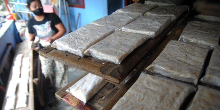 Apakah Makan Tahu dan Tempe Aman untuk Kesehatan?