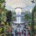 3 Bandara ASEAN Masuk 10 Terbaik Dunia 2025, Apakah Ada dari Indonesia?