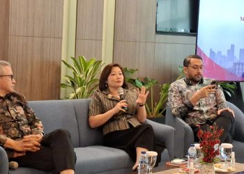 Misi Danantara di Balik Masuknya Dua Ekspatriat di Jajaran Direksi Maskapai Penerbangan