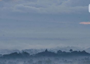 Wisata Desa Energi Karangrejo Borobudur Menyasar Pasar Eropa