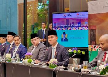 Agenda Strategis Indonesia di KTT G20 Afrika Selatan, dari Pangan hingga Kecerdasan Buatan