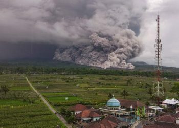 Erupsi Semeru, Komisi VIII DPR Minta Pemerintah Bertindak Segera