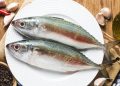 Ikan dengan Kandungan Protein Tertinggi 15 Rekomendasi Terbaik untuk Diet