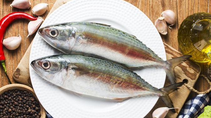 Ikan dengan Kandungan Protein Tertinggi 15 Rekomendasi Terbaik untuk Diet