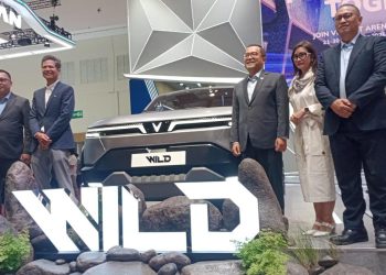 Masyarakat Indonesia Diajak Menentukan Nama Model Terbaru Vinfast