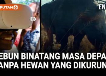 Kebun Binatang Masa Depan Hewan Bebas Berinteraksi Tanpa Terpenjara