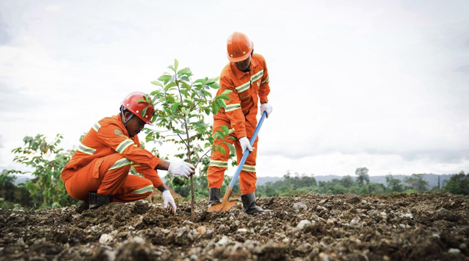 Reklamasi 84,86 Hektare Lahan di Weda Bay