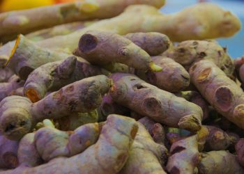 6 Manfaat Kunyit Hitam yang Langka untuk Meredakan Nyeri Otot