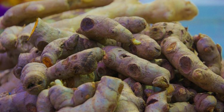 6 Manfaat Kunyit Hitam yang Langka untuk Meredakan Nyeri Otot