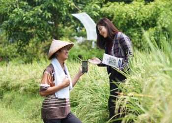 KUR Dukung Pertumbuhan Omzet UMKM Hingga Dua Digit, Berikut Buktinya
