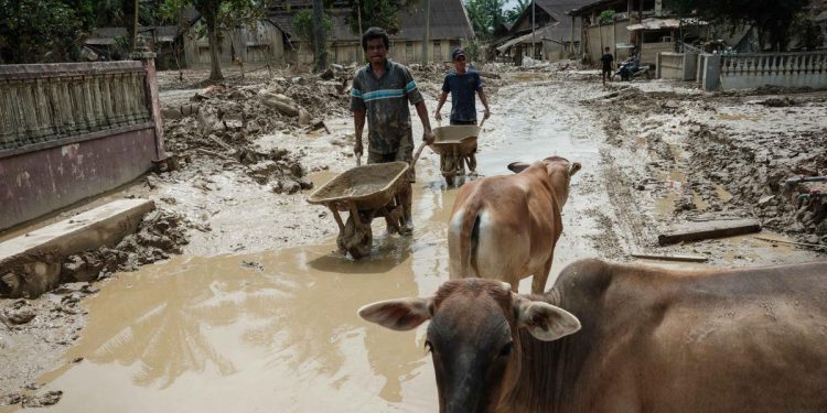Pemkab Aceh Tamiang Usulkan Lahan Hunian Sementara untuk Korban Bencana menurut BNPB